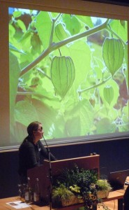 Christa Müller, Leiterin der Stiftungsgemeinschaft anstiftung & ertomis und der Stiftung Interkultur