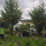 Spaziergang