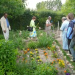 Gartenführung
