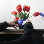 Tulpen für den Laden